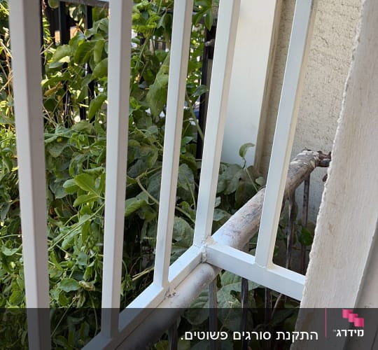 מעקה מתכת עם צמחייה ברקע